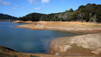 Lesson 20 - Water Restrictions, Waterless and Rinse Free Solutions